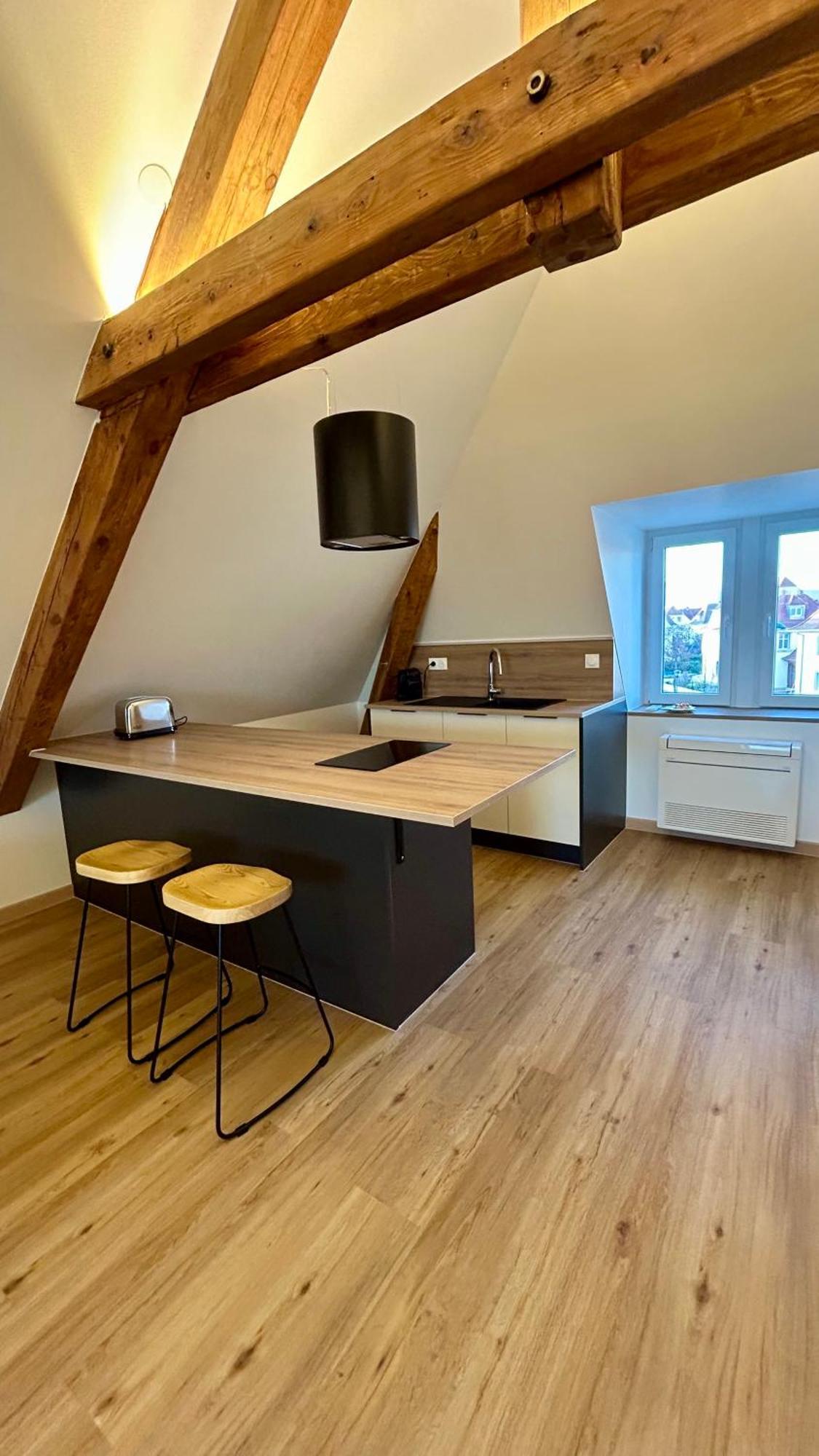 Appartement Moderne Et Spacieux, A 10 Min De La Gare 콜마 외부 사진