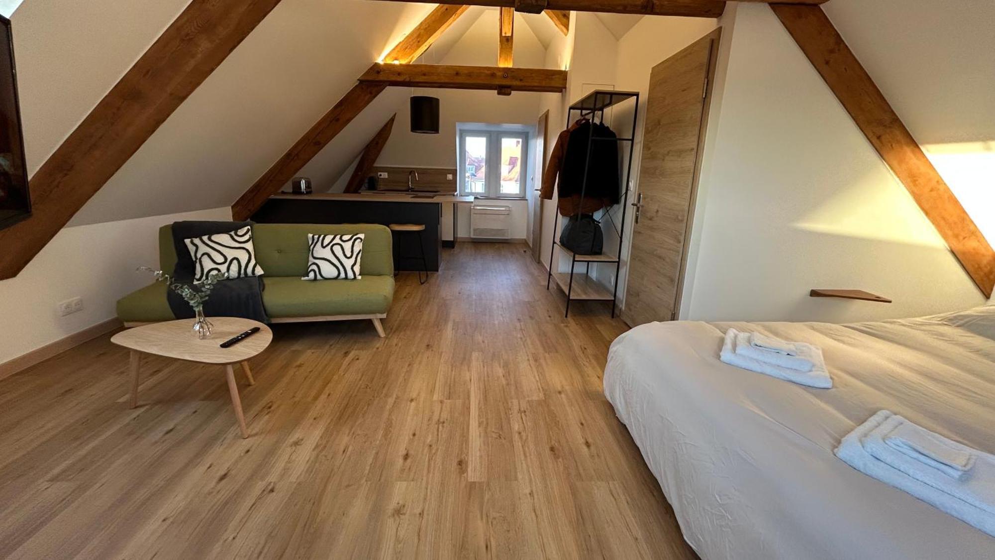 Appartement Moderne Et Spacieux, A 10 Min De La Gare 콜마 외부 사진